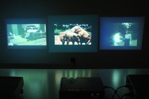 «Darkroom for intellectuals» by Hugo Herrera Tobón, shown at the Garage of Gallery Sign, 2014